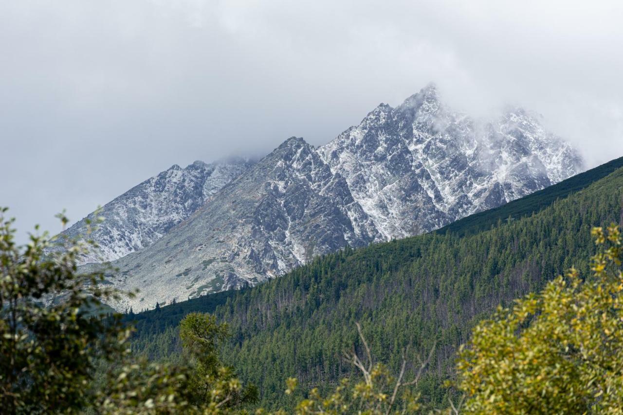 Apartman Pod Hrebienkom - C218 Vysoké Tatry Dış mekan fotoğraf