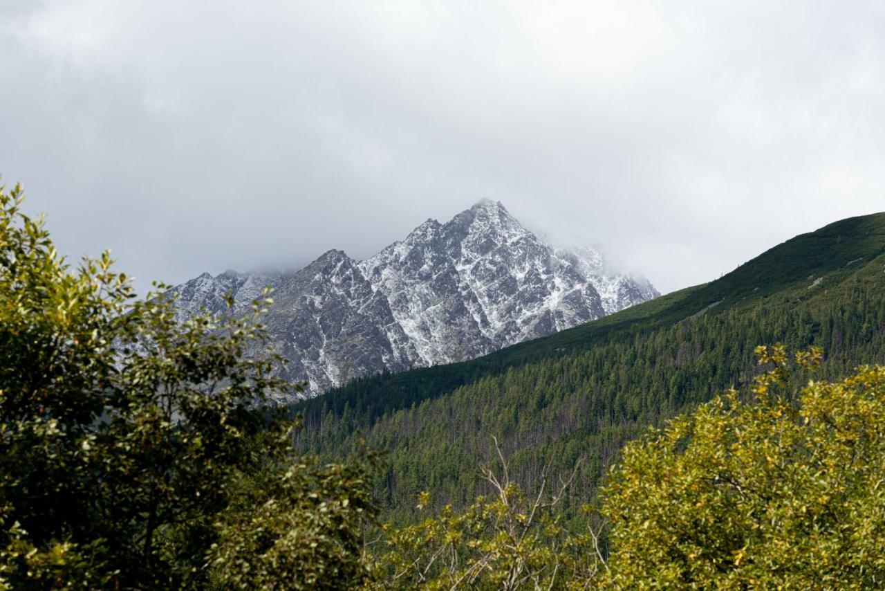 Apartman Pod Hrebienkom - C218 Vysoké Tatry Dış mekan fotoğraf